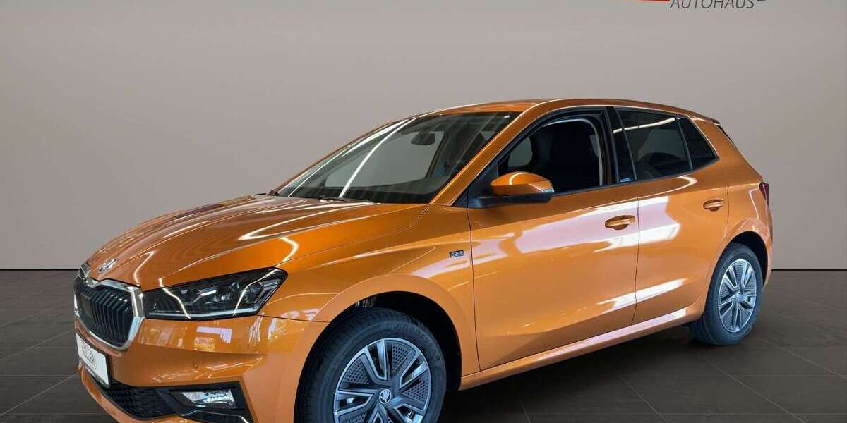 Skoda Fabia 2.859 km 21.985 &euro; Schwarzenberg 08340