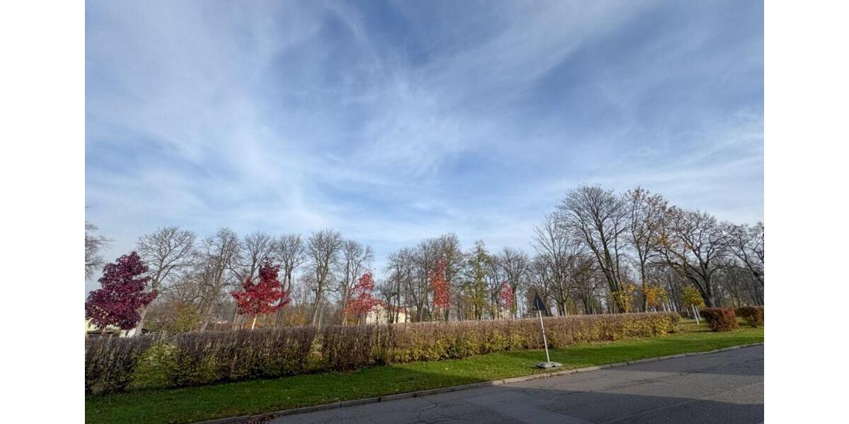 Etagenwohnung Werdau - 2 Zimmer, 41 m&sup2;, 250&euro; | Angebot:22269557