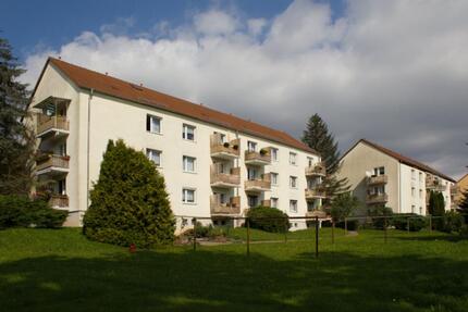 Wohnung Hohenstein-Ernstthal Ernstthal - 3 Zimmer, 60 m&sup2;, 325&euro; | Angebot:19985933