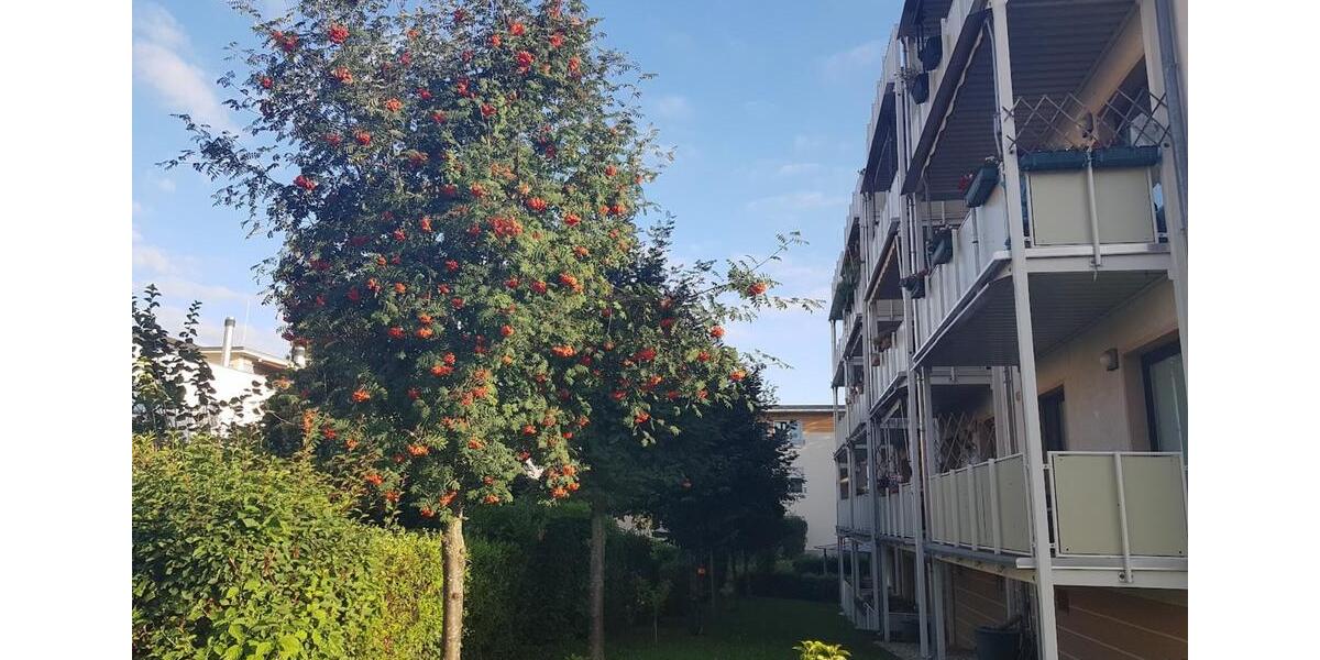 Etagenwohnung Zwickau Zwickau-Nord - 2 Zimmer, 59 m&sup2;, 379&euro; | Angebot:25144979