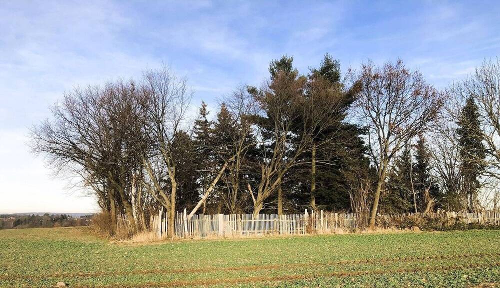 Grundstück Lichtentanne Schönfels - 45.000&euro; | Angebot:25678793