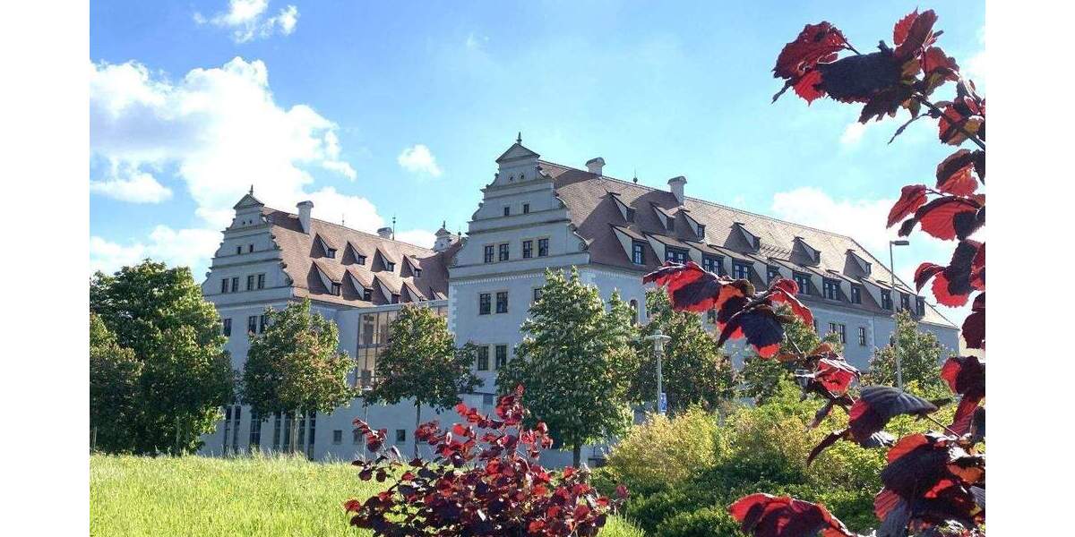 Etagenwohnung Zwickau Pölbitz - 2 Zimmer, 54 m&sup2;, 59.000&euro; | Angebot:25707457