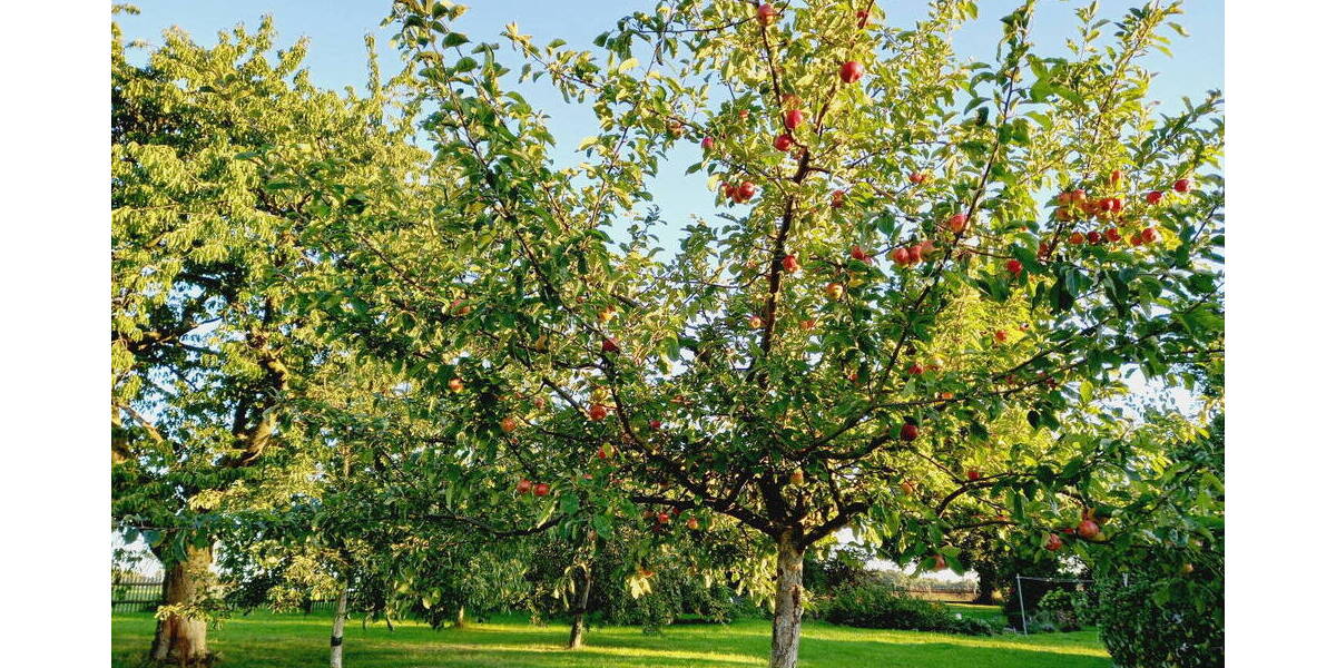 Einfamilienhaus St. Egidien - 1 Zimmer, 329 m&sup2;, 530.000&euro; | Angebot:26015835