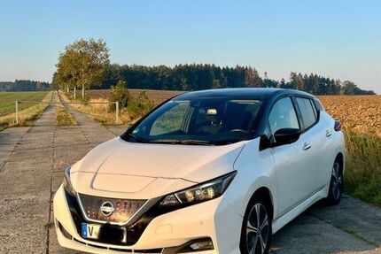 Nissan Leaf 53.500 km 13.950 &euro; Treuen 08233