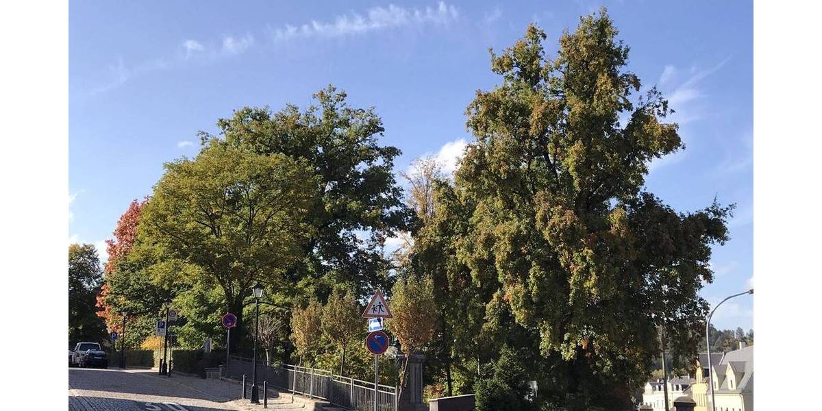 Etagenwohnung Kirchberg Burkersdorf - 2 Zimmer, 44 m&sup2;, 42.000&euro; | Angebot:25707405