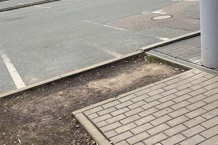 Wohnung Zwickau Zwickau-West - 1 Zimmer, 55 m&sup2;, 450&euro; | Angebot:14515536