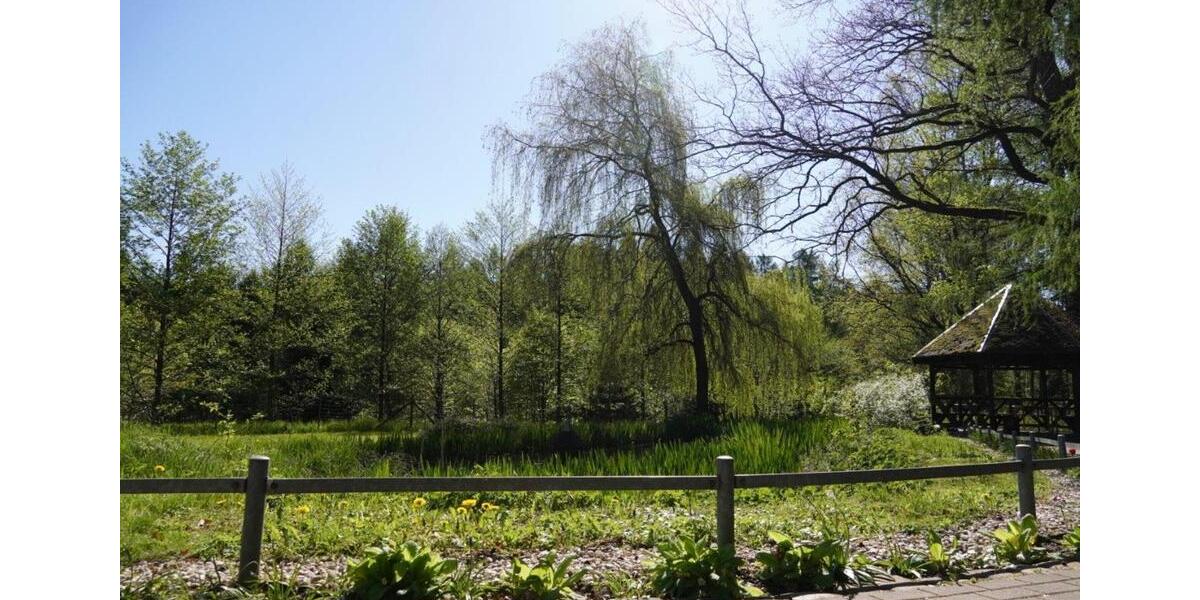 Dachgeschoßwohnung Hohenstein-Ernstthal Ernstthal - 1 Zimmer, 20 m&sup2;, 520&euro; | Angebot:18908378