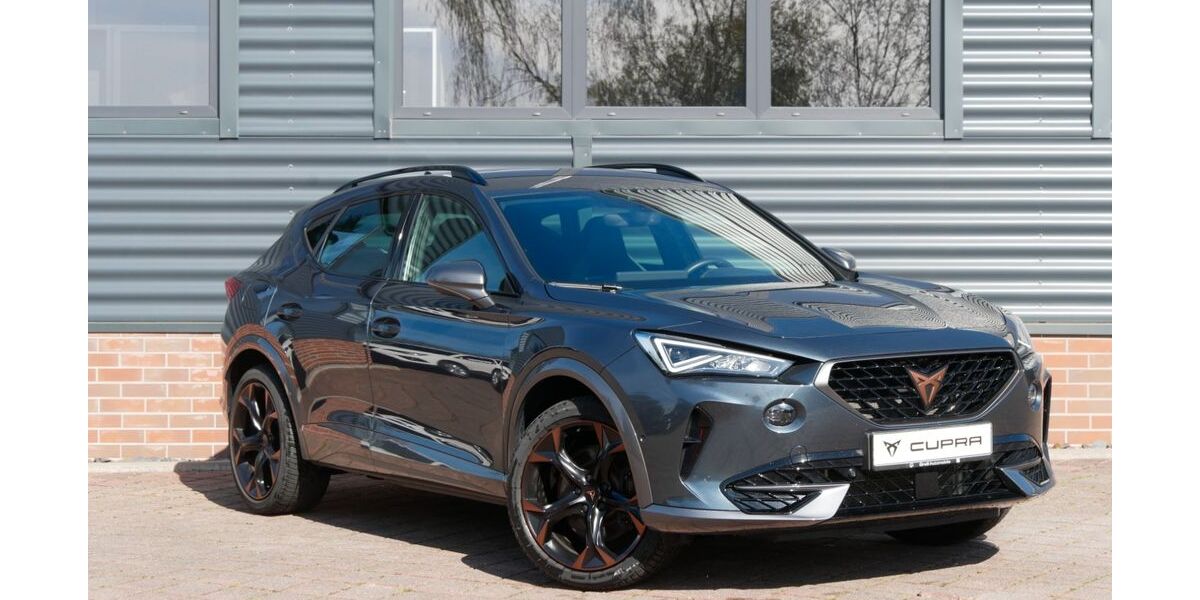 Cupra Formentor 39.250 km 29.290 &euro; Schneeberg 08289