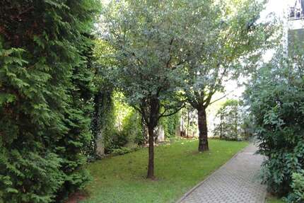 Wohnung Zwickau Mitte-Nord - 2 Zimmer, 58 m&sup2;, 247&euro; | Angebot:25137958