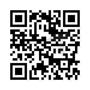 Dachgeschoßwohnung Zwickau - 1 Zimmer, 40 m&sup2;, 244&euro; | Angebot:24826095