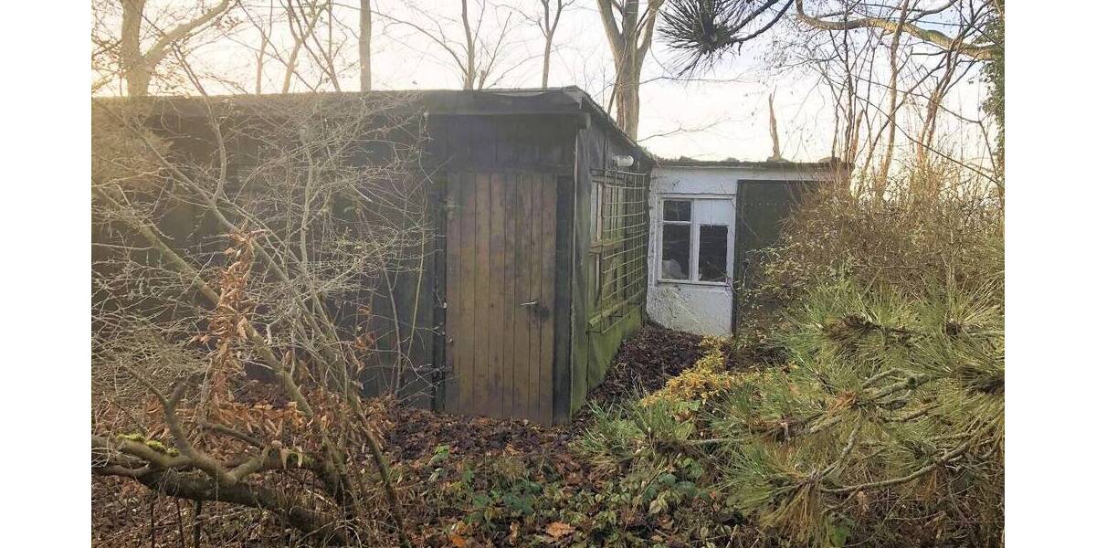 Grundstück Lichtentanne Schönfels - 45.000&euro; | Angebot:25678793