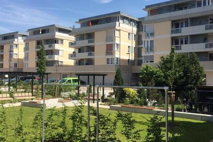 Wohnung Zwickau - 1 Zimmer, 80 m&sup2;, 800&euro; | Angebot:20370329