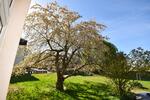 Etagenwohnung Zwickau Zwickau-Nord - 4 Zimmer, 103 m&sup2;, 300&euro; | Angebot:26578494