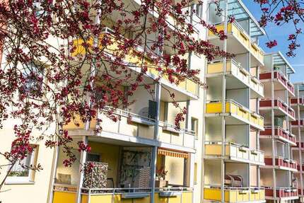 Wohnung Zwickau Eckersbach E 1 - 2 Zimmer, 59 m&sup2;, 325&euro; | Angebot:24818561