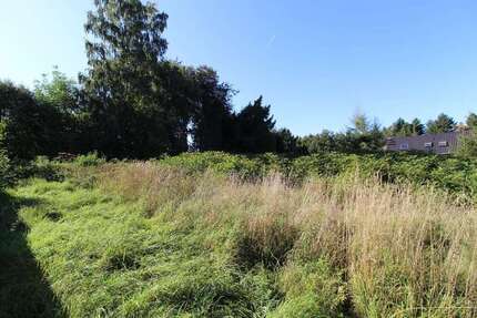 Grundstück Penig - 49.500&euro; | Angebot:22922714