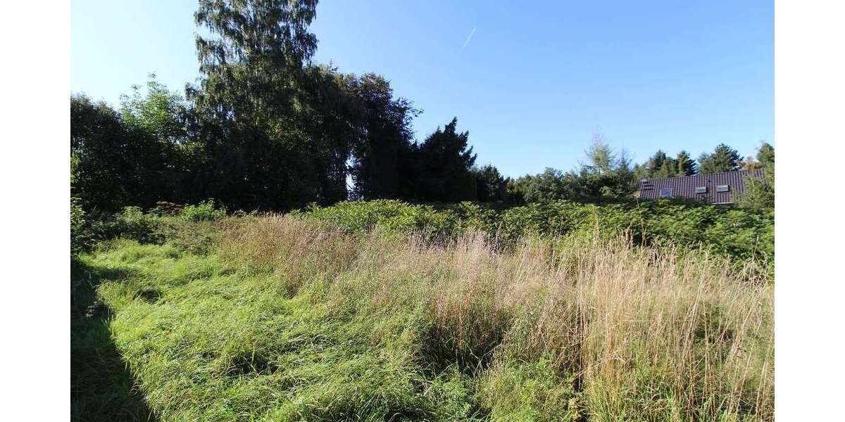 Grundstück Penig - 49.500&euro; | Angebot:22922714