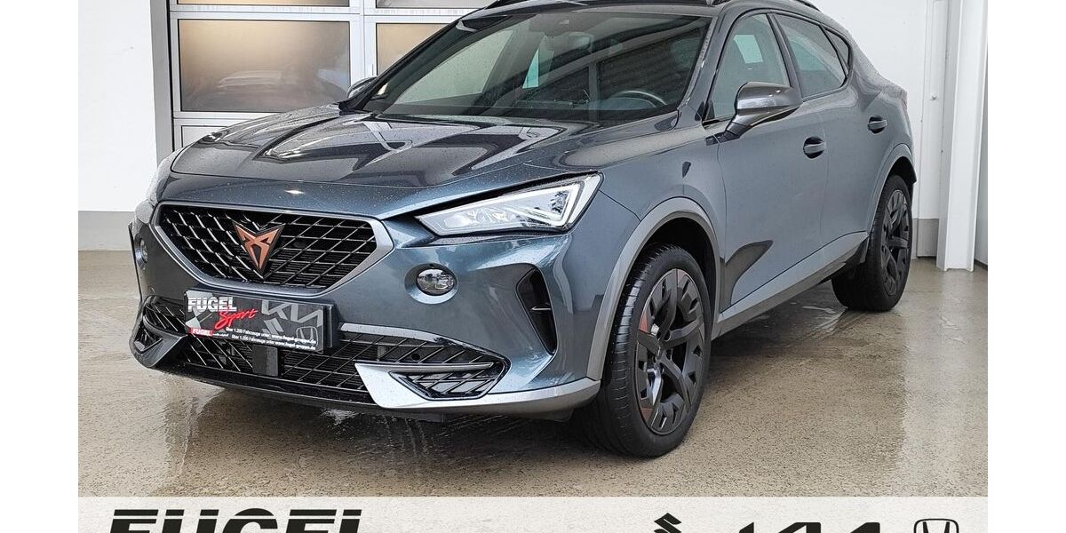 Cupra Formentor 49.900 km 23.949 &euro; Oberlungwitz 09353