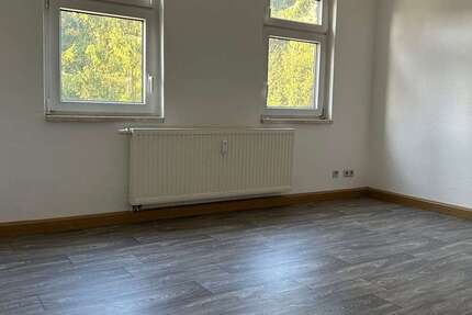 Wohnung Wilkau-Haßlau Haßlau - 2 Zimmer, 54 m&sup2;, 270&euro; | Angebot:24880985