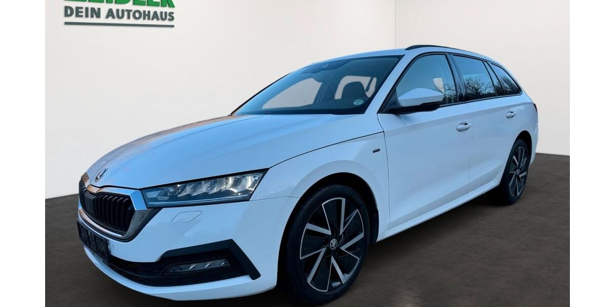 Skoda Octavia 99.100 km 20.220 &euro; Mylau 08499