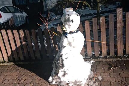 Wohnung Zwickau Cainsdorf - 1 Zimmer, 43 m&sup2;, 396&euro; | Angebot:22251833