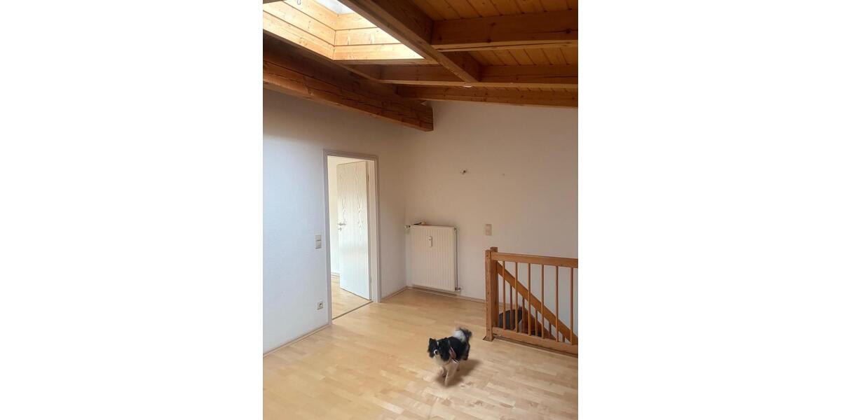 Maisonettenwohnung Zwickau Zwickau-Nord - 3.5 Zimmer, 83 m&sup2;, 790&euro; | Angebot:24279465