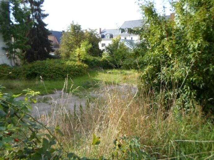 Grundstück Auerbach Richardshöhe - 65.000&euro; | Angebot:25738763