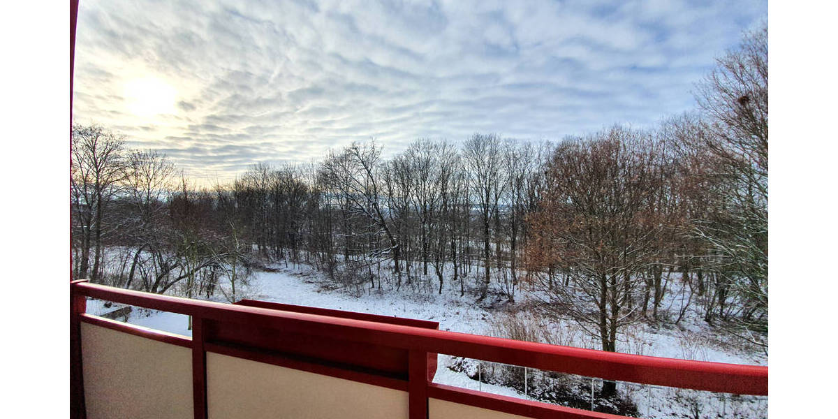 Etagenwohnung Zwickau Eckersbach - 2 Zimmer, 49 m&sup2;, 343&euro; | Angebot:25996632