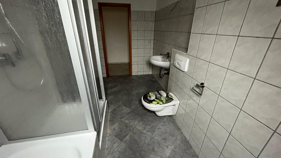 Dachgeschoßwohnung Werdau - 4 Zimmer, 80 m&sup2;, 500&euro; | Angebot:23808651