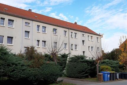 Wohnung Werdau - 3 Zimmer, 59 m&sup2;, 295&euro; | Angebot:26006937