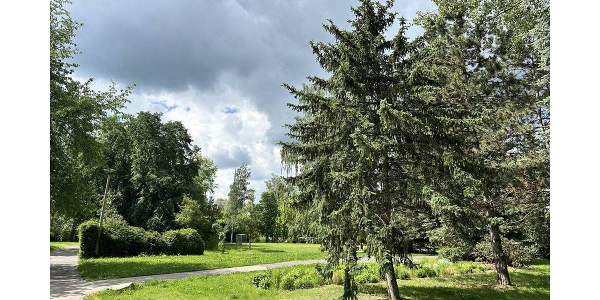 Etagenwohnung Zwickau - Marienthal Marienthal - 2 Zimmer, 50 m&sup2;, 49.000&euro; | Angebot:25707413