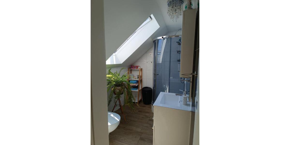 Einfamilienhaus St. Egidien - 7 Zimmer, 225 m&sup2;, 555.555&euro; | Angebot:25945835