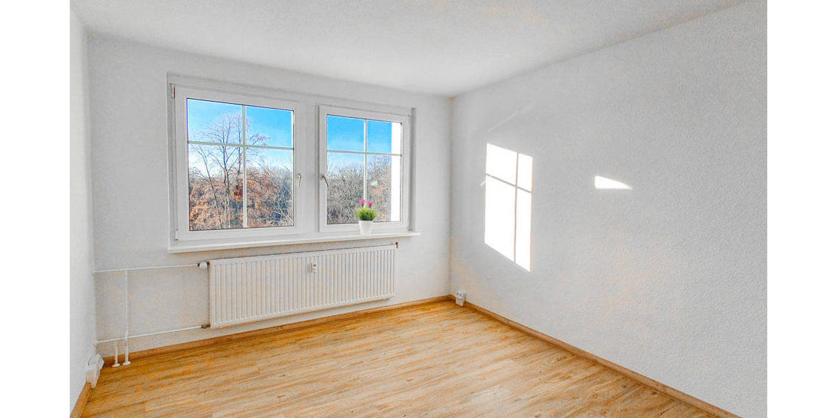 Etagenwohnung Zwickau Eckersbach - 2 Zimmer, 48 m&sup2;, 360&euro; | Angebot:25668567
